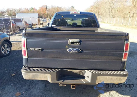 2013 Ford F-150 Xlt z USA, uszkodzony, nr VIN 1FTFX1ETXDFB71873